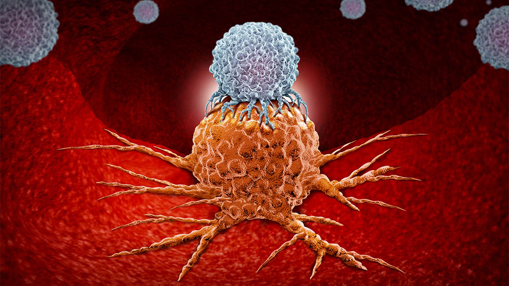 Ilustração digital com conceito de célula de defesa sobre um tumor.